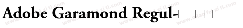Adobe Garamond Regul字体转换